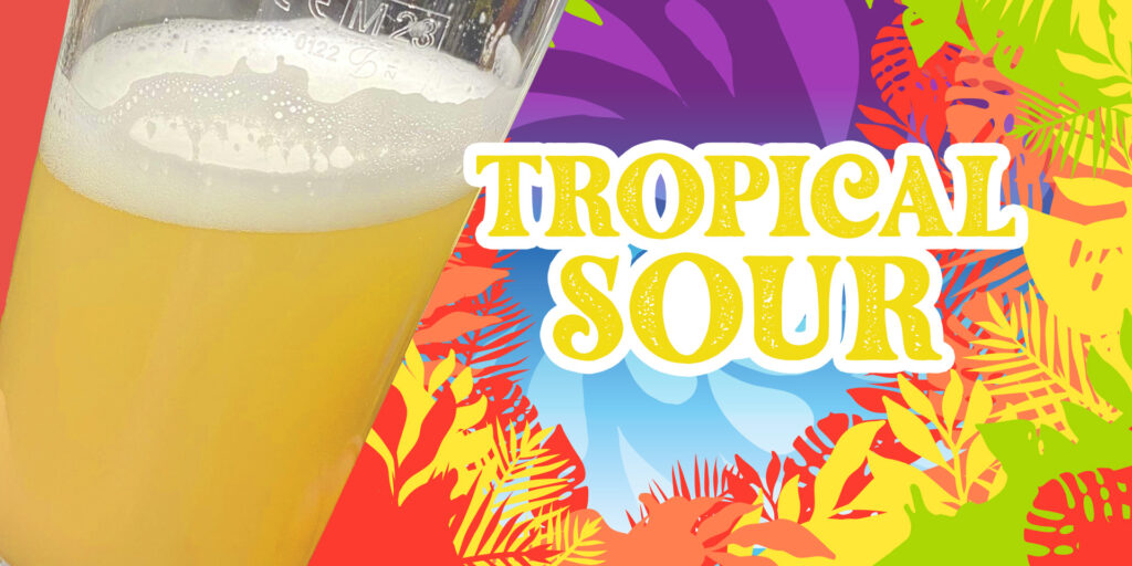 BraV bière artisanale Tropical Sour